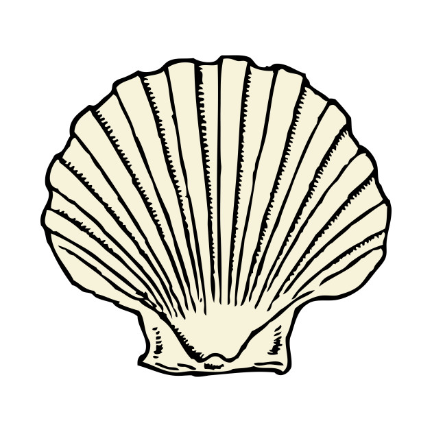 630x630 Limited Edition Exclusive Scallop Shell