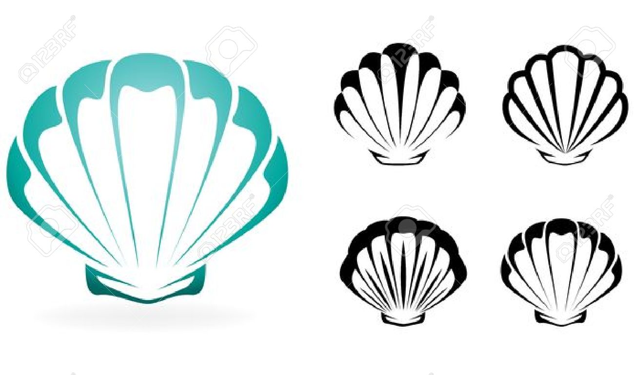 1300x770 Scallop Shell Clipart, Free Download Clipart