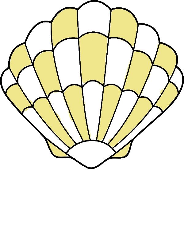 600x800 a lovely zigzag scallop seashell drawing coloring