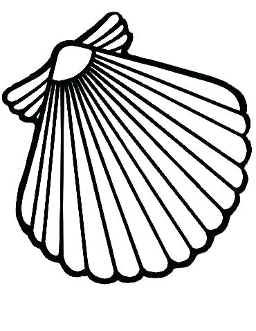 370x478 Oyster Shell Coloring Pages Clam