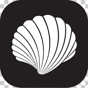 310x310 Page Scallop Circle Png Cliparts For Free Download Uihere