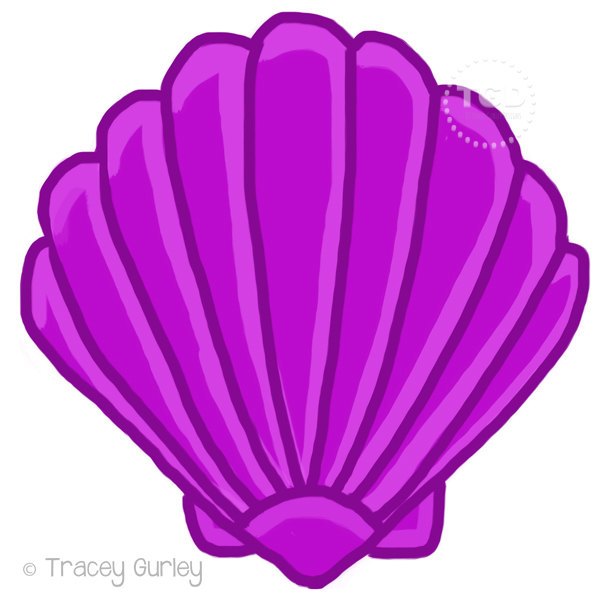 600x600 Purple Scallop Shell Drawing