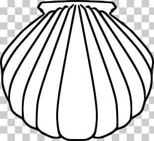 310x285 Scallop Seashell Pilgr Oyster Peace Dove Png Clipart Free