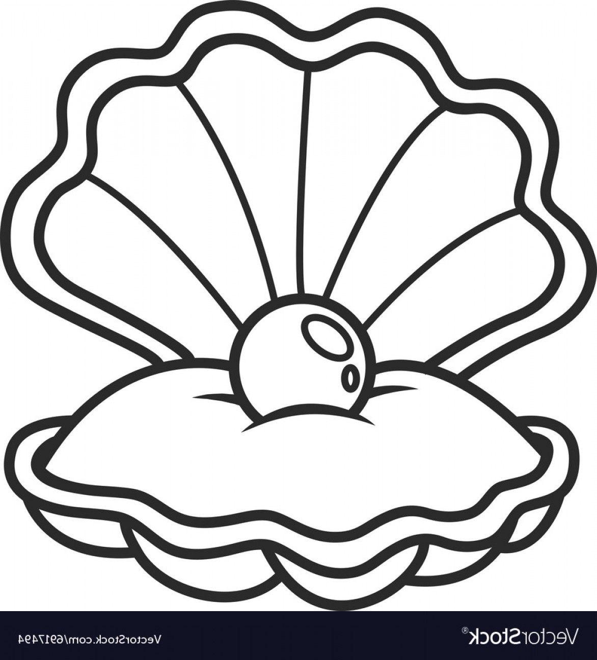 1172x1296 Scallop Shell Vector Catchsplace
