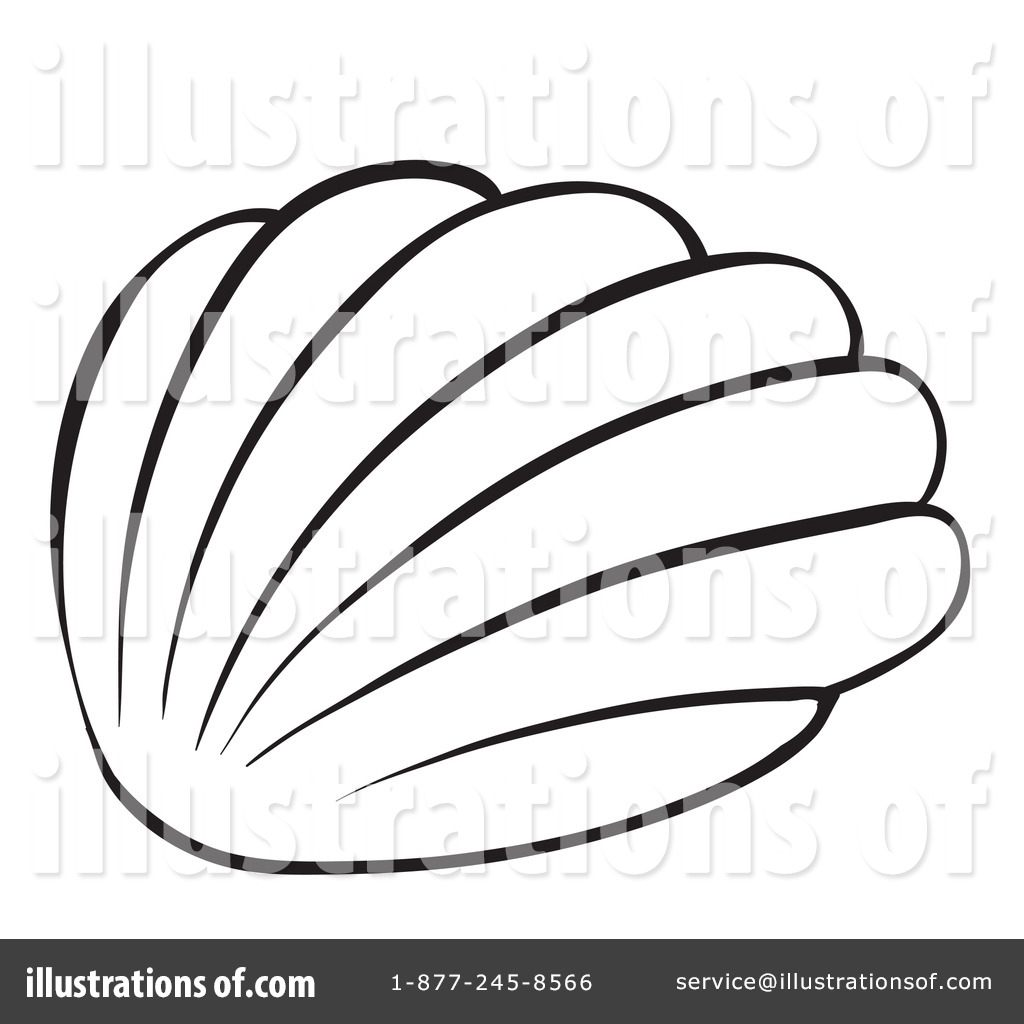 1024x1024 Seashell Clipart