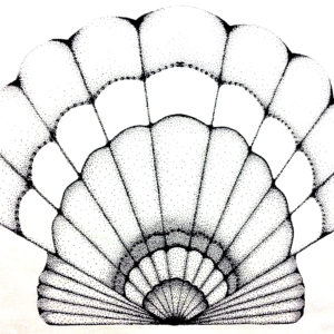 300x300 Shells Seaside Garden Studio Gallery