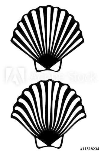334x500 A Scallop Shell Tribal Tattoo