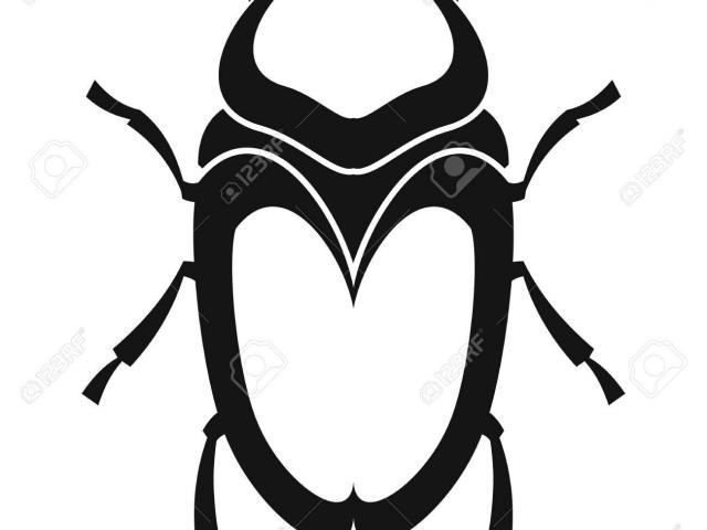 640x480 dung beetle clipart