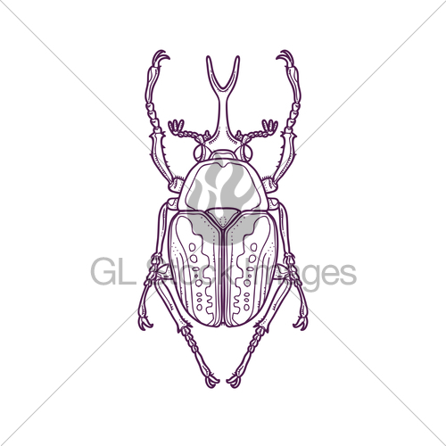 500x500 Outline Scarab Beetle Bug Insect Gl Stock Images