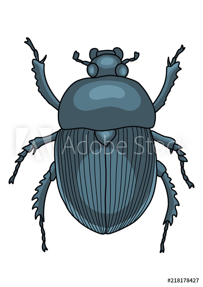 707x1000 Photo Art Print Scarab Illustration, Doodle, Cartoon, Drawing