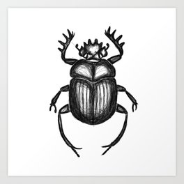 264x264 Scarab Art Prints