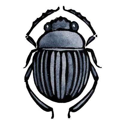 414x414 Scarab