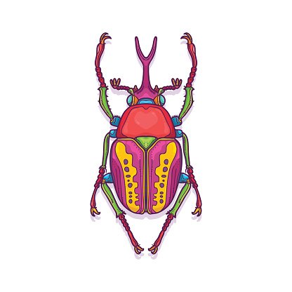 416x416 Colorful Scarab Beetle Bug Insect Premium Clipart