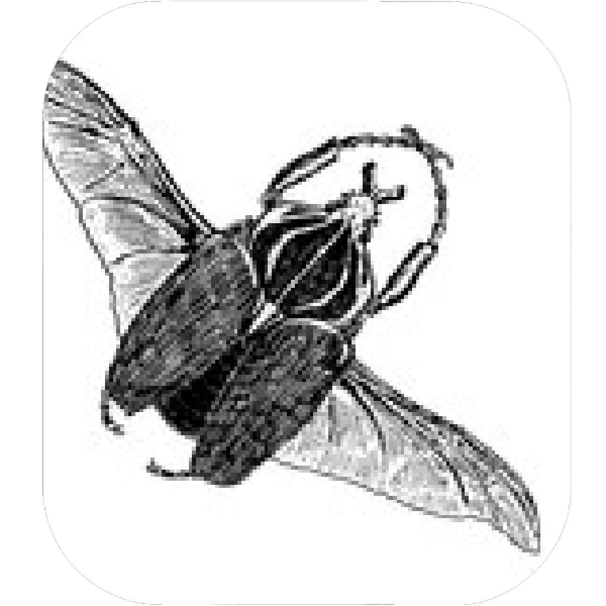 1200x1200 Designs Mein Mousepad Design Mousepad Selbst Designen