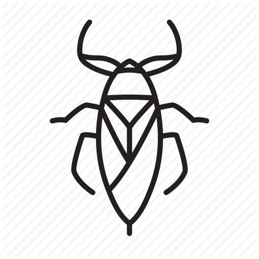 512x512 Drawing Bugs Diving Beetle Transparent Png Clipart Free Download