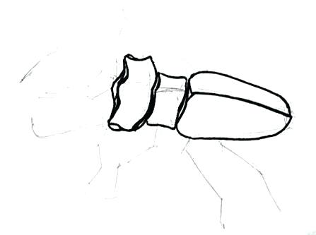 447x333 how to draw a beetle author drawing beetlejuice draw a door