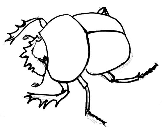 550x434 How To Draw A Scarab Beetle