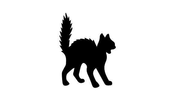 570x343 Collection Of 'scared Cat Silhouette' Download More Than