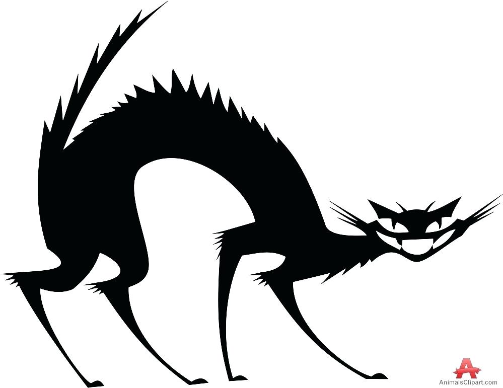 999x771 Scared Cat Drawing