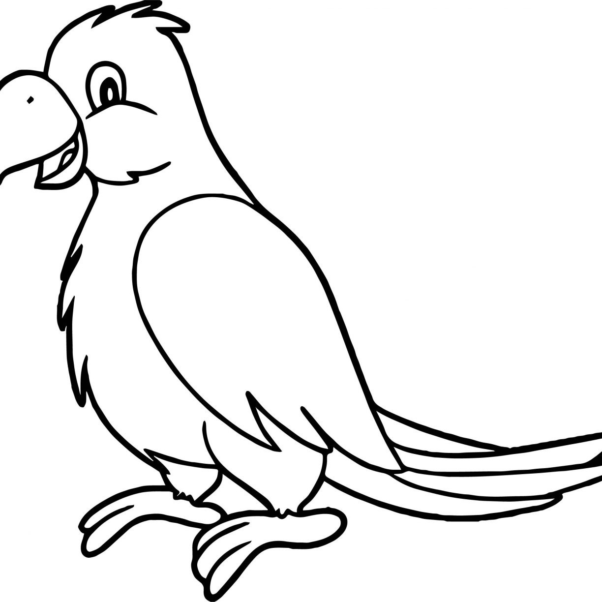 1224x1224 Huge Collection Of 'parrot Line Drawing' Download More Than