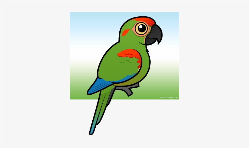 820x488 More Products