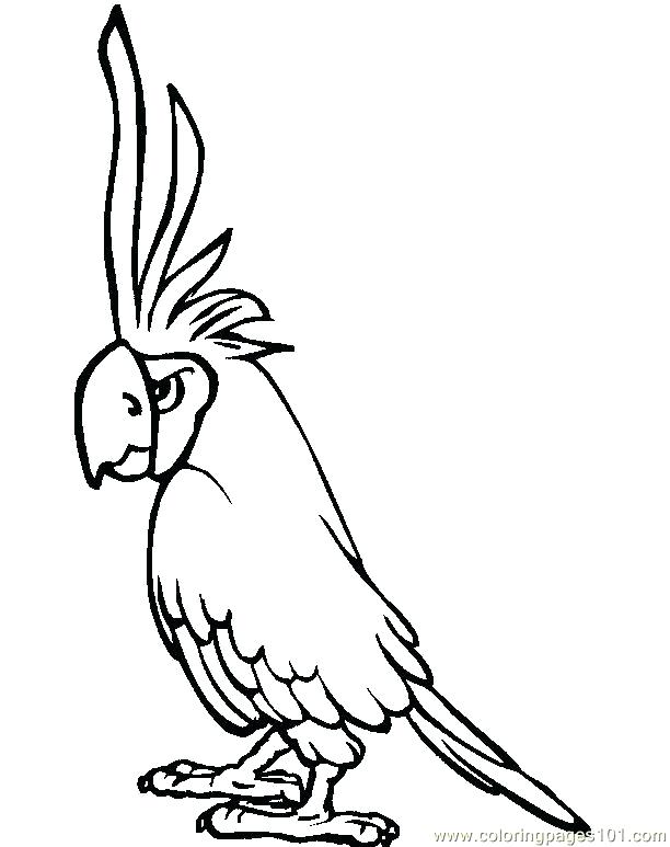 612x773 Parrot Coloring Free Coloring Library Parrot Coloring Pages