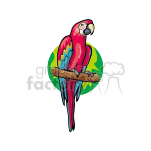 300x300 Red And Blue Scarlet Macaw Clipart Royalty Free Clipart