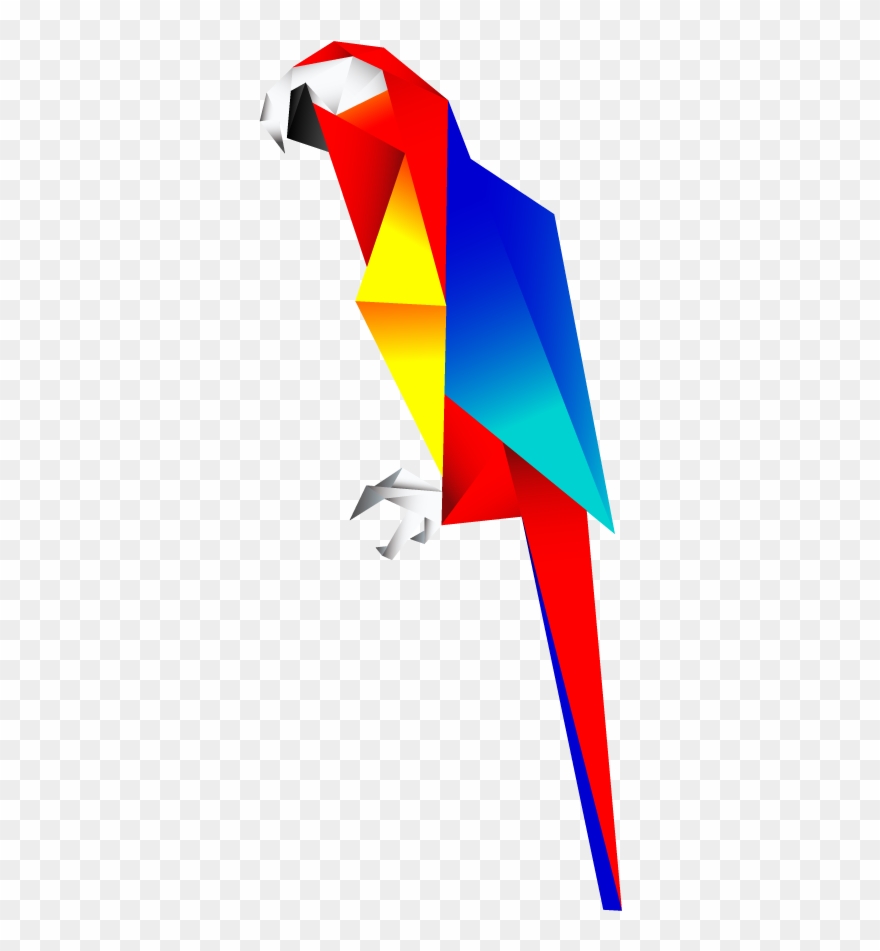 880x951 Scarlet Macaw Clipart Transparent