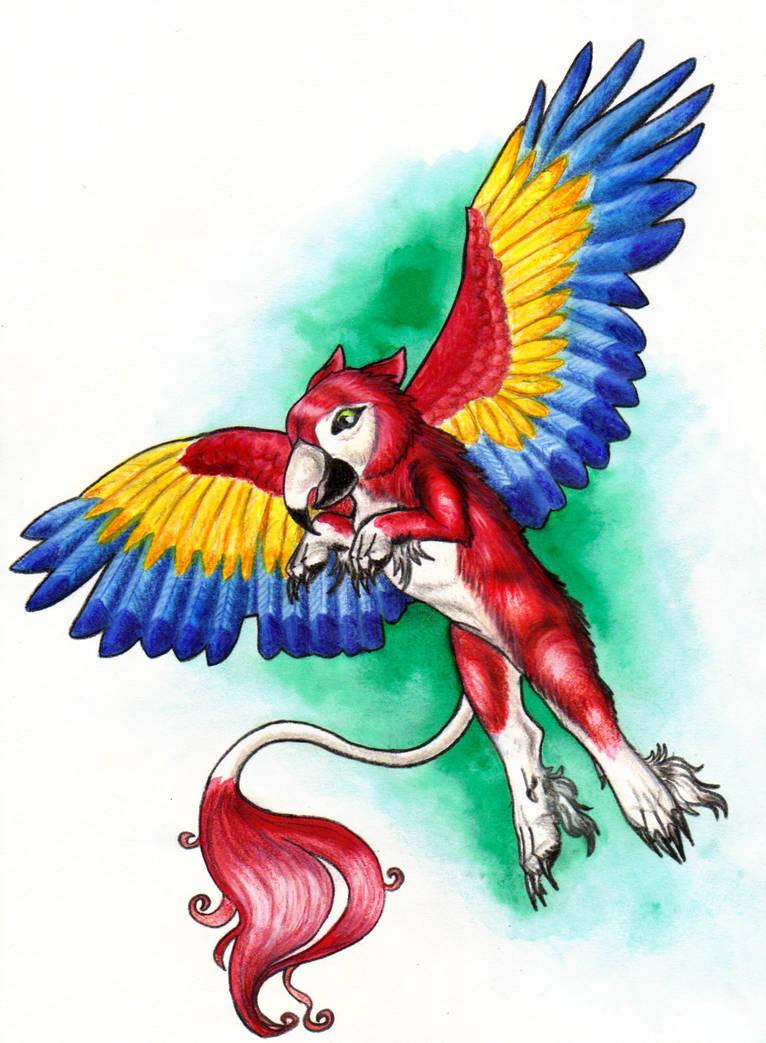 766x1043 scarlet macaw gryphon