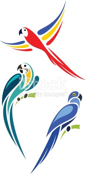 291x587 Stylized Parrots