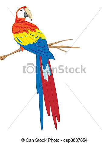360x470 Vector Illustration Of A Scarlet Macaw Sitting On A Branch