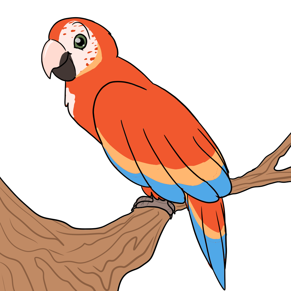 1000x1000 Warriors I've Had A Couple Anons Bring Up The Idea Of Bird