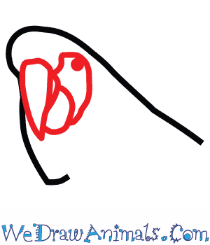 300x350 How To Draw A Scarlet Macaw