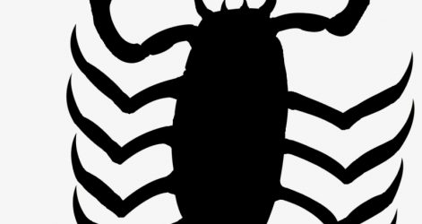 471x250 Scary Bug Cool Cute Ladybug Corel Draw Drawings Step