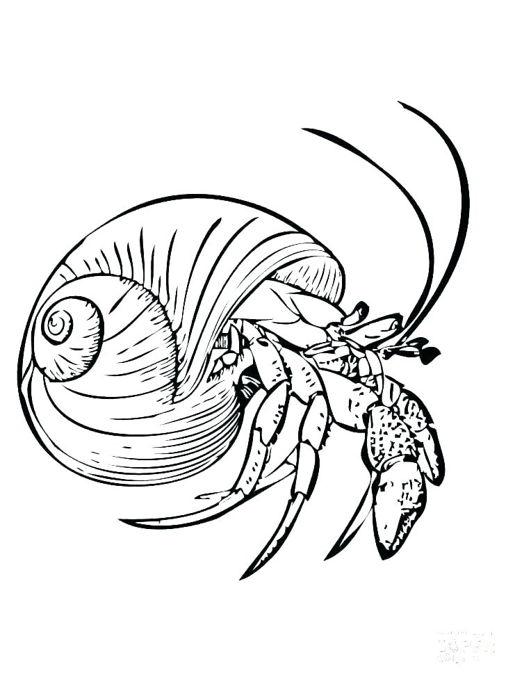 728x971 Eyeball Coloring Pages The Of Human Eye Coloring Pages Bulk Color