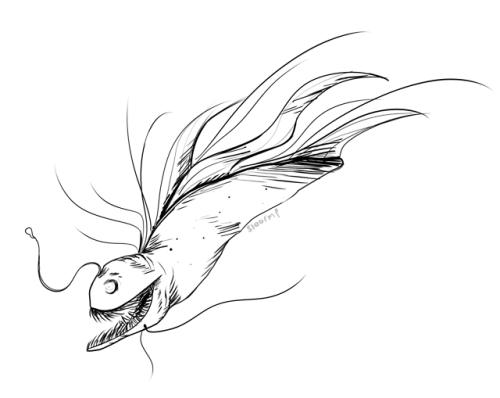 500x398 Deep Sea Fishing Tumblr