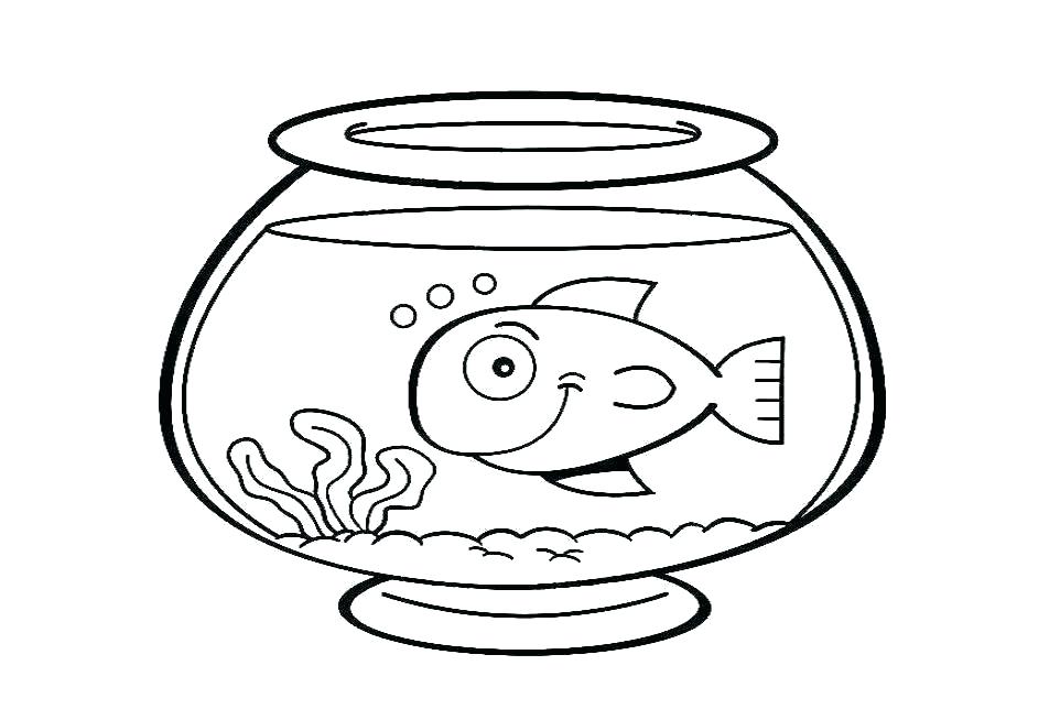 962x654 Simple Fish Tank Drawing For Youngsters
