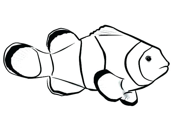 600x442 Clown Printable Coloring Pages Free Fish Book For Kids Killer