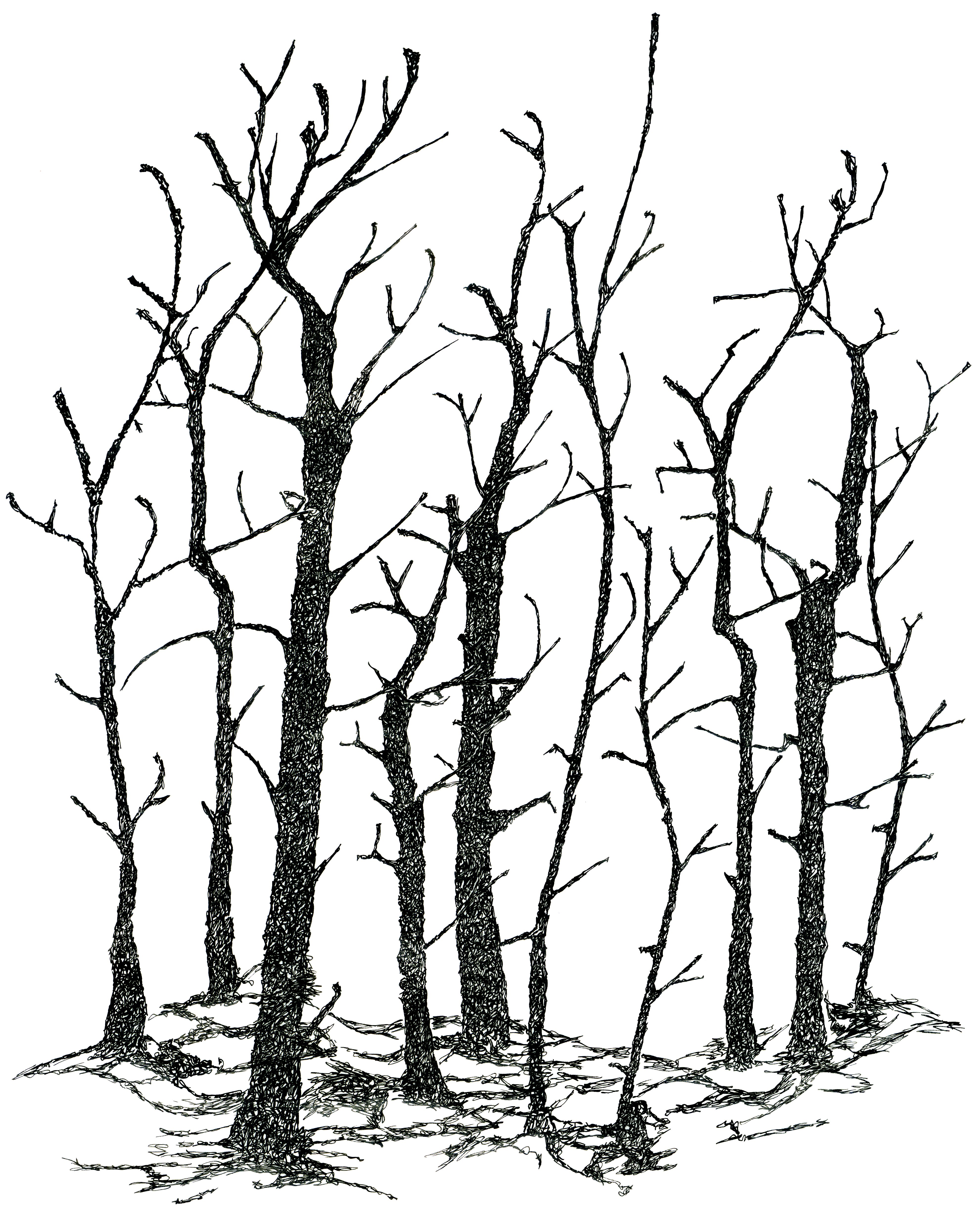 3952x4985 Rainbow Drawing Forest For Free Download