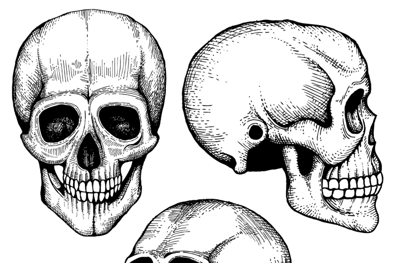 800x533 Hand Drawn Vector Death Scary Human Skulls Collection