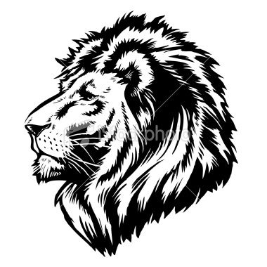 380x380 Lion Face Vector