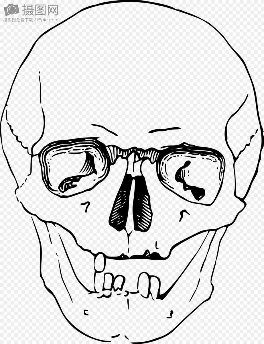 922x1200 Scary Bones Graphics Image Picture Free Download