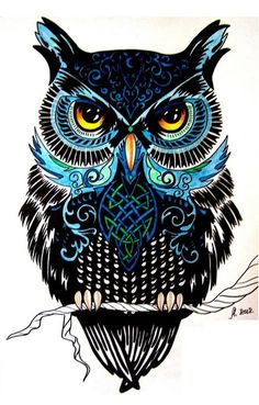 236x369 Best Owl Artwork Images In Drawing Owls, Owls, Birds