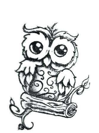 334x446 How To Draw Owls Cute Owl Cartoon Drawing Owl Cartoon Drawing Easy