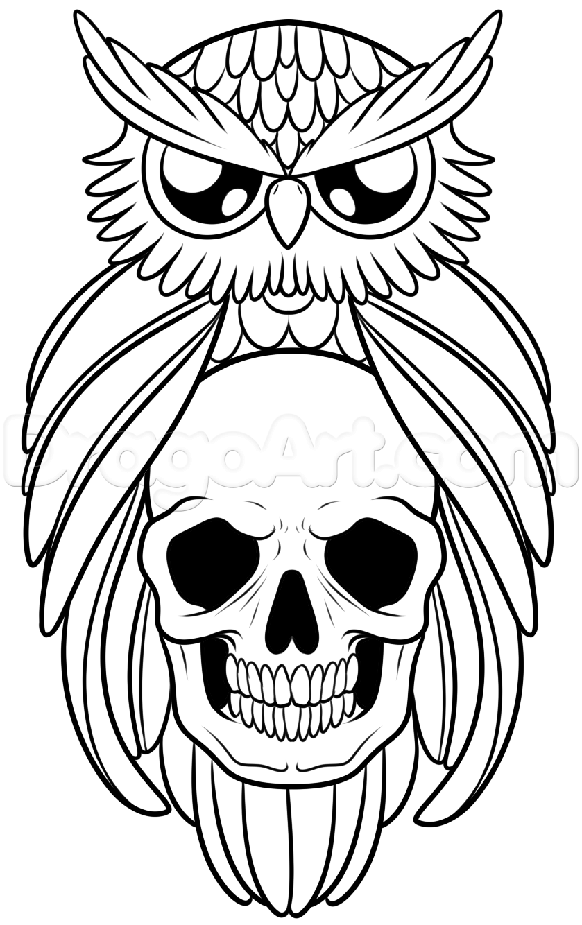 839x1334 How To Draw An Owl And Skull Tattoo Step Owls! Owl Skull