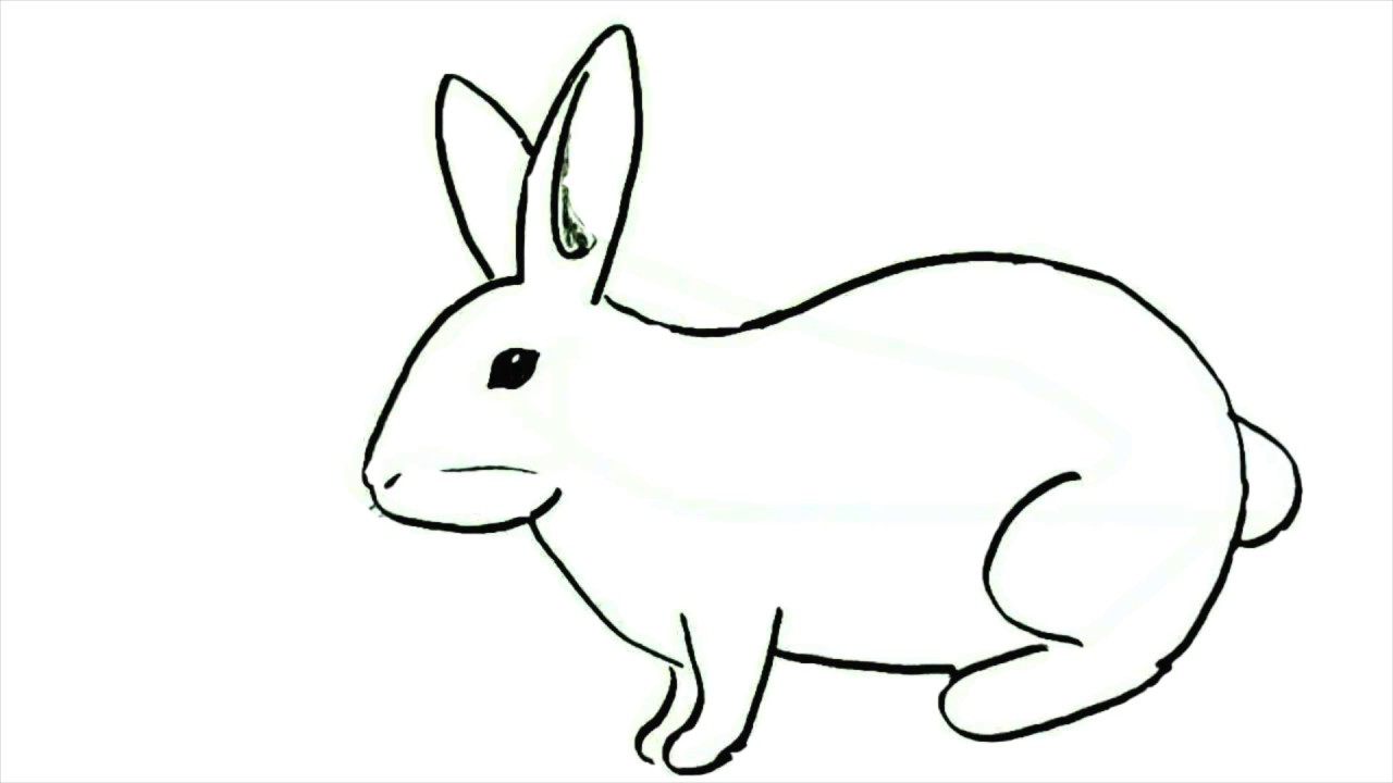 1280x720 How To Draw Bunny Drawing Bunny Easy Drawing Animals For Kids