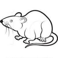 200x200 Rat Clipart Group With Items