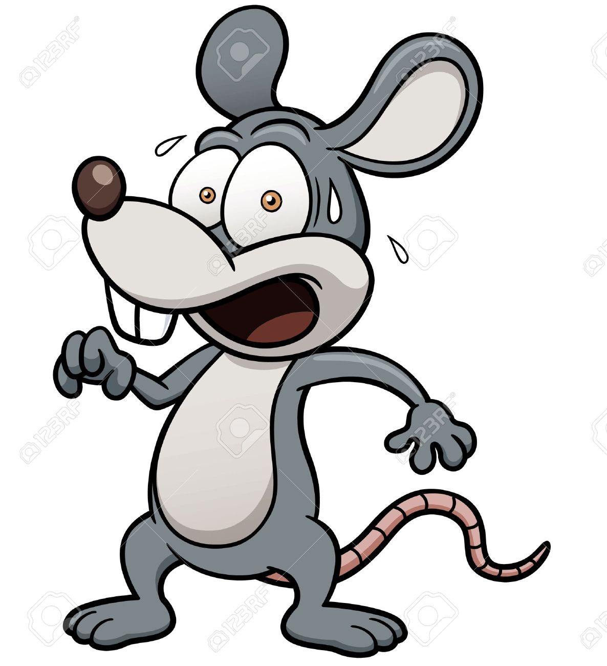 1186x1300 Stock Vector The Gut Cartoon Rat, Rats, Cartoon