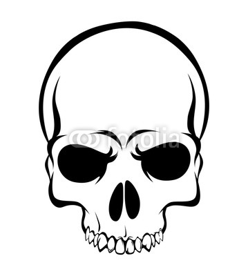 359x400 Skull