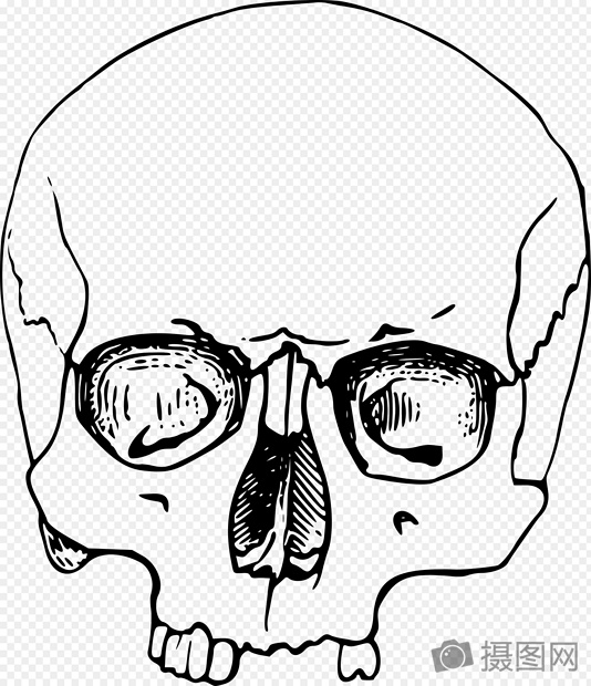 534x620 A Scary Skull Graphics Image Picture Free Download